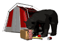 black bear tent picnic basket snacking md wht