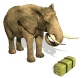 elephant eat hay md wht
