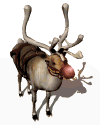 rudolph red nosed reindeer md wht