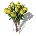 dozen yellow roses expand vase md wht
