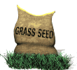 seed bag in grass md wht