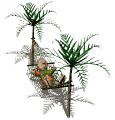 guy in hammock palm trees sleeping md wht